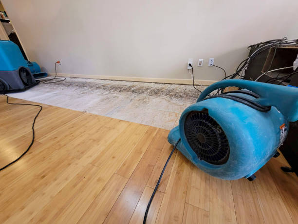 Professional Emergency Water Damage technician working in East Pittsburgh, PA